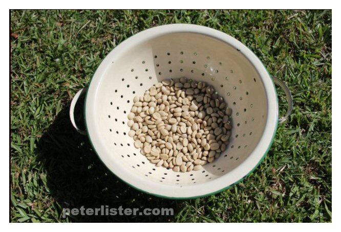 Harvest & Roast Coffee Home Made Aust.