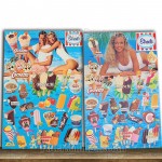 Streets Icecream Vintage Advertising Laminated Display Milk Bar