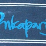 Onkaparinga New Logo